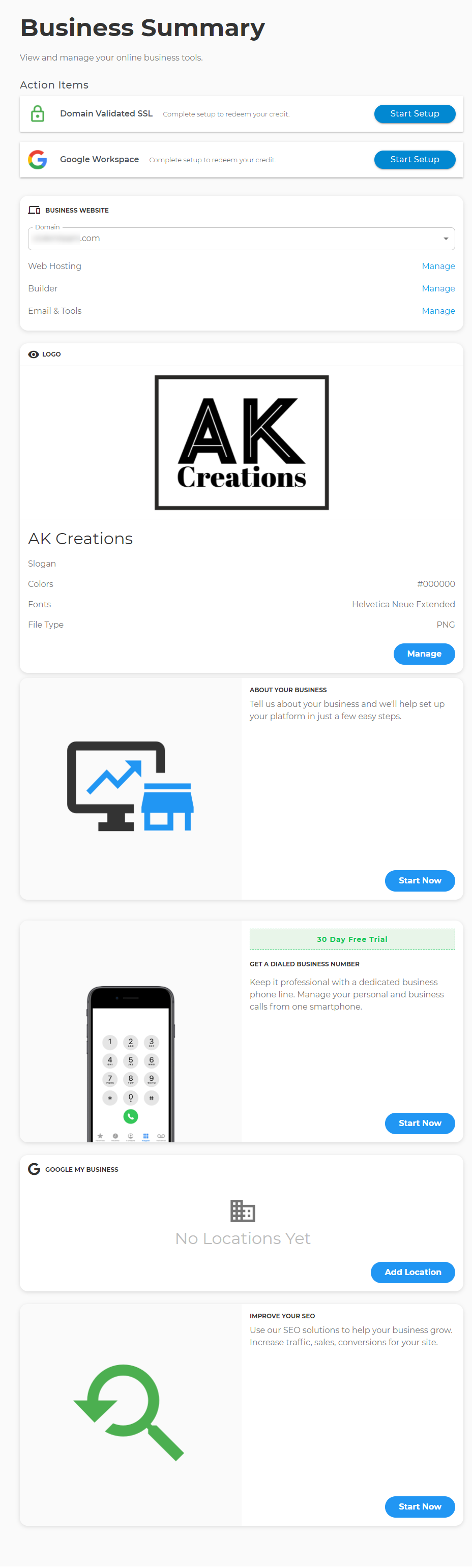 Business summary page
